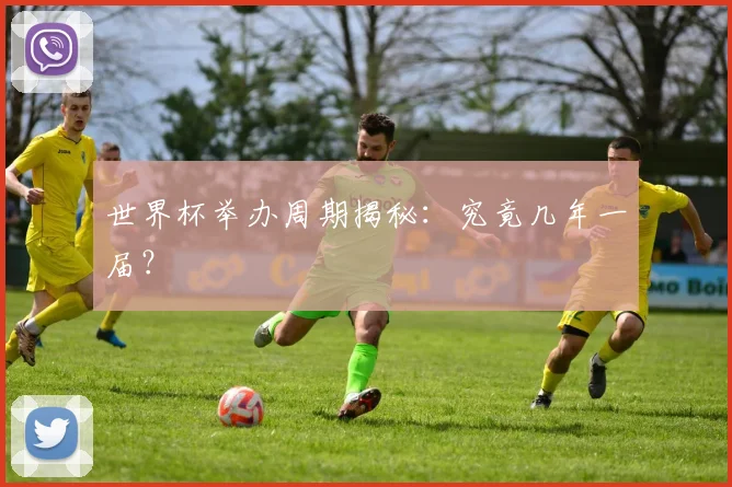 世界杯举办周期揭秘：究竟几年一届？