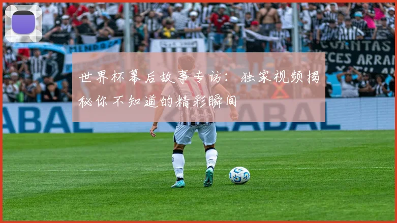 世界杯幕后故事专访：独家视频揭秘你不知道的精彩瞬间
